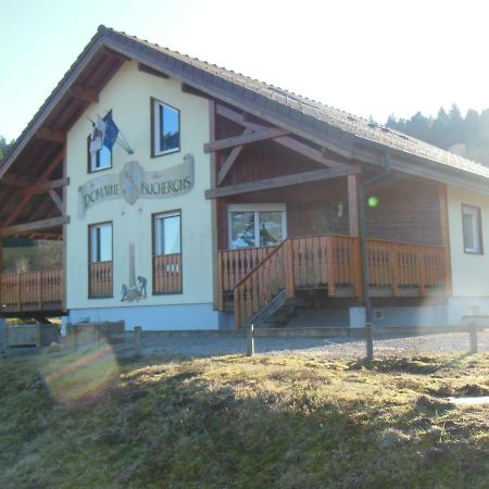 Chalet Du Bucheron Apartamento Gérardmer Exterior foto